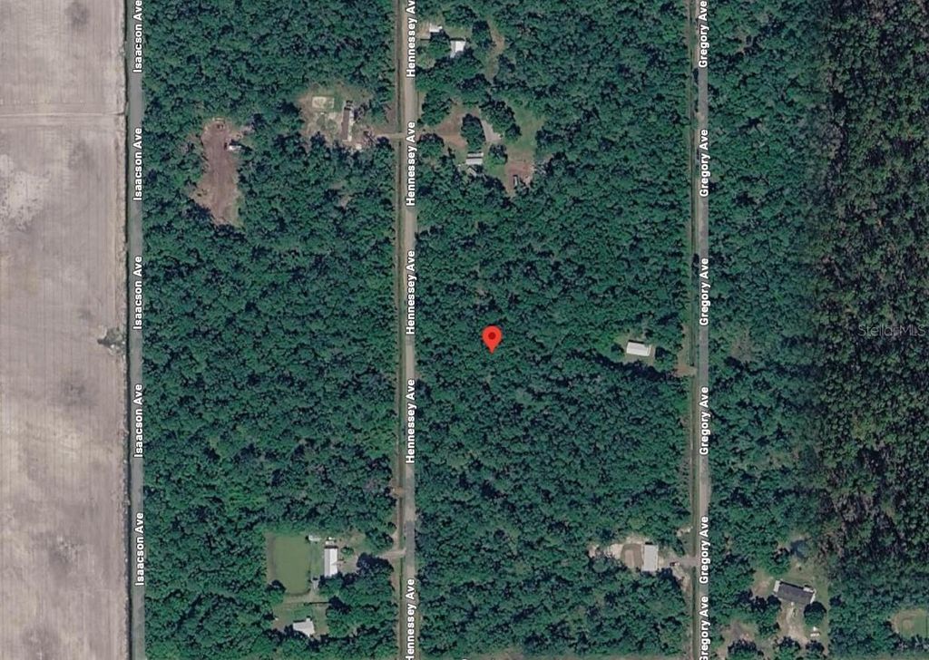 Photo of 10690 Hennessey Avenue, Hastings, FL 32145 (MLS # A4690644)