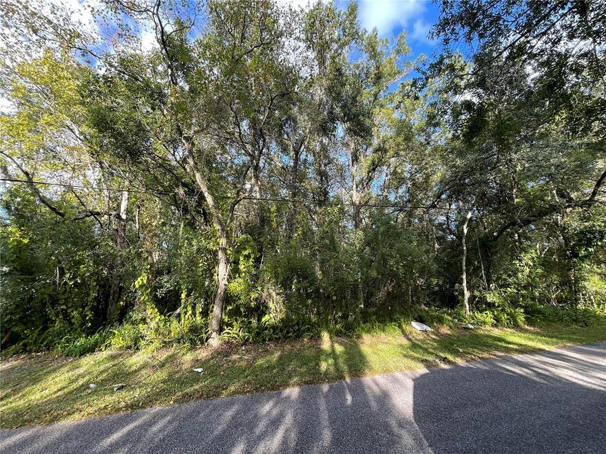 Amazing opportunity to create your own oasis! Nestled in a centrally located area with top-rated schools, this expansive untouched canvas spans over 1.33 acres of land, a rarity in this city. Customize your dream here! We advise potential buyers to verify all information pertaining to the land to ensure it meets your unique needs and expectations.