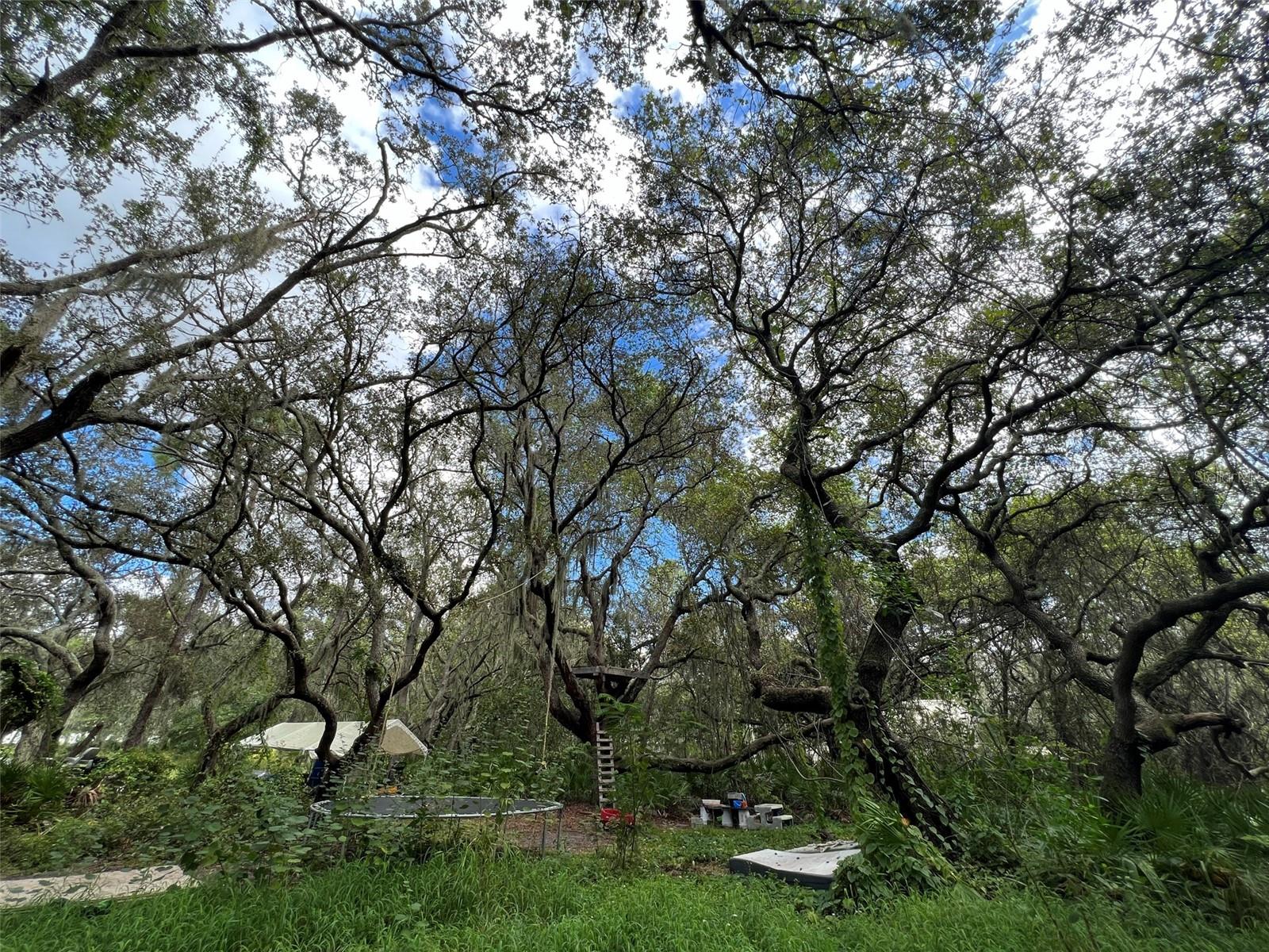 UNPLATTED - Residential