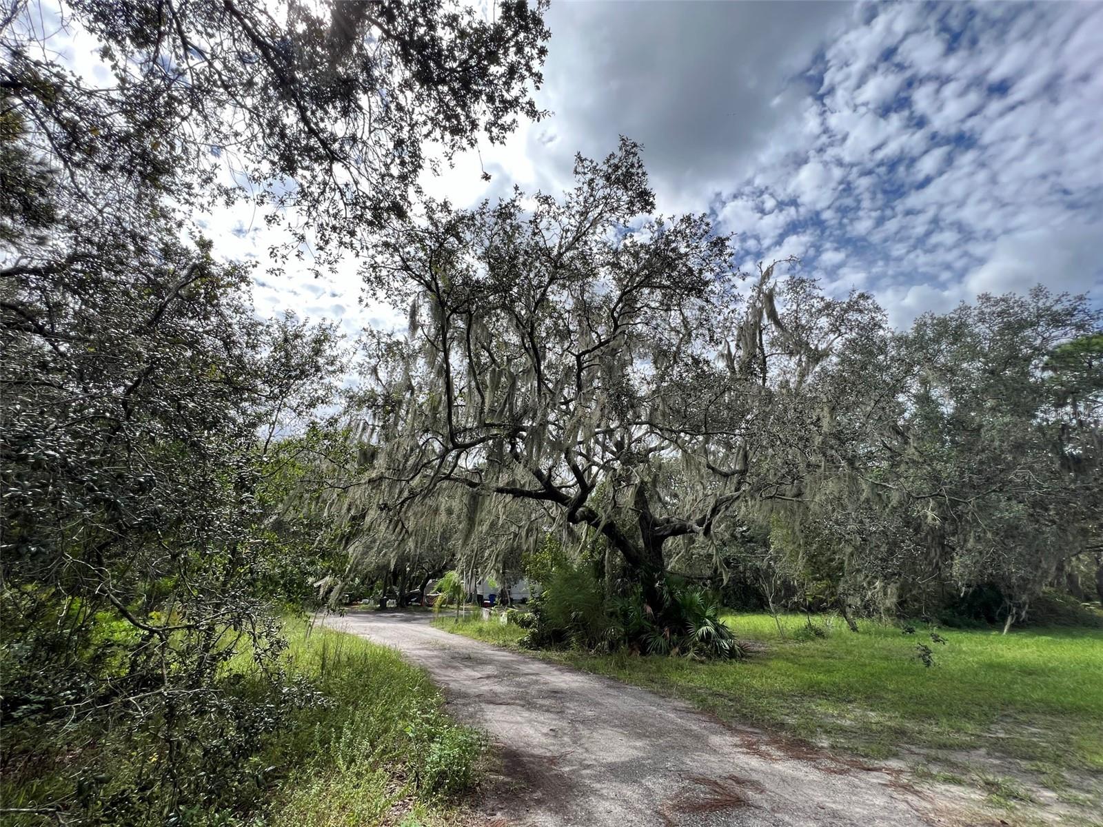 UNPLATTED - Residential