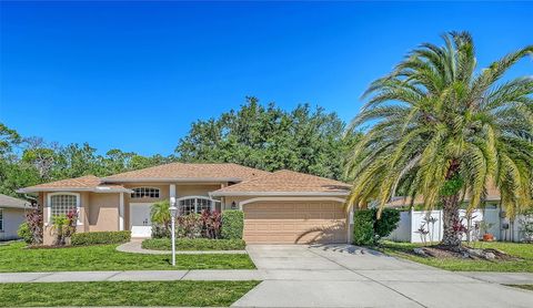 3521 BRANCH CREEK DRIVE SARASOTA FL 34235