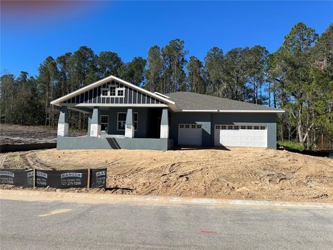 A home in BROOKSVILLE