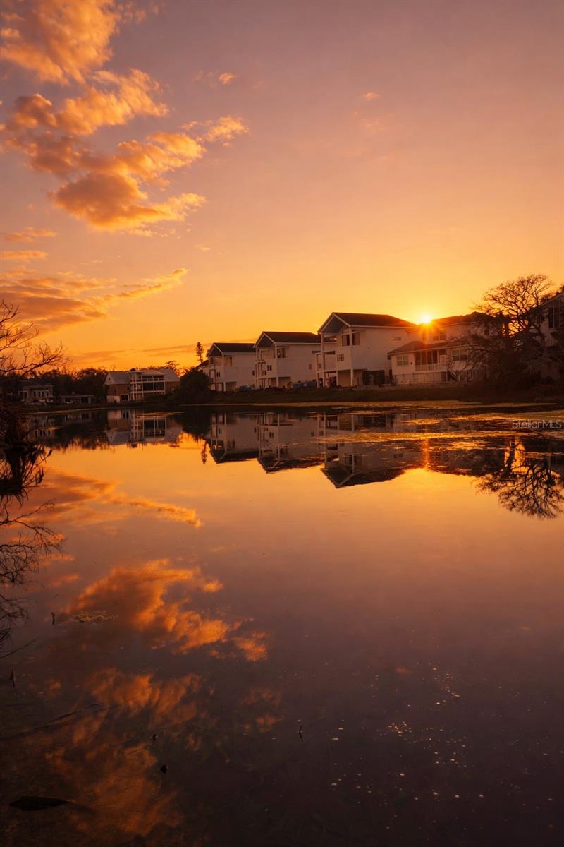 OCEAN BEACH REP - Residential