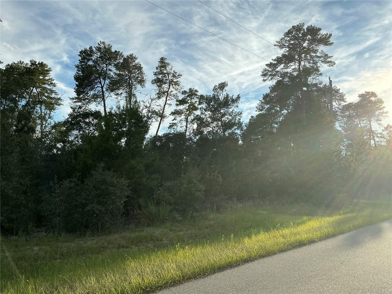 OCALA WATERWAY ESTATE - Land