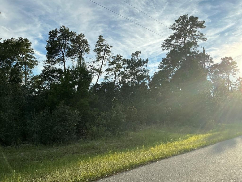 Photo of 0 SW 112th Street, Ocala, FL 34476 (MLS # OM712614)