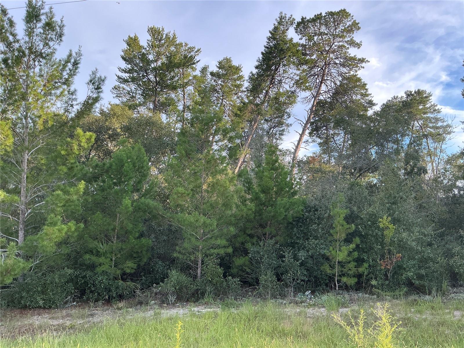 Situated in the heart of Ocala Waterway, this residential lot measures 165 by 135 feet, located outside the flood zone, with no wetlands or endangered species, and water available. Ocala Waterway is located south of downtown Ocala and next to I-75 for easy access to the Orlando suburbs. Ocala Waterway has plenty to do for nature lovers including natural springs, state forests, mudding, and biking trails. Ocala Waterway is exploding with development due to low housing prices and cheap land. Walmart and shops are just 10 minutes away. Silver Springs Shores, one of the largest artesian spring formations in the world, is just 20 minutes away. Just 20 minutes to downtown Ocala, and 1 hour to downtown Orlando.