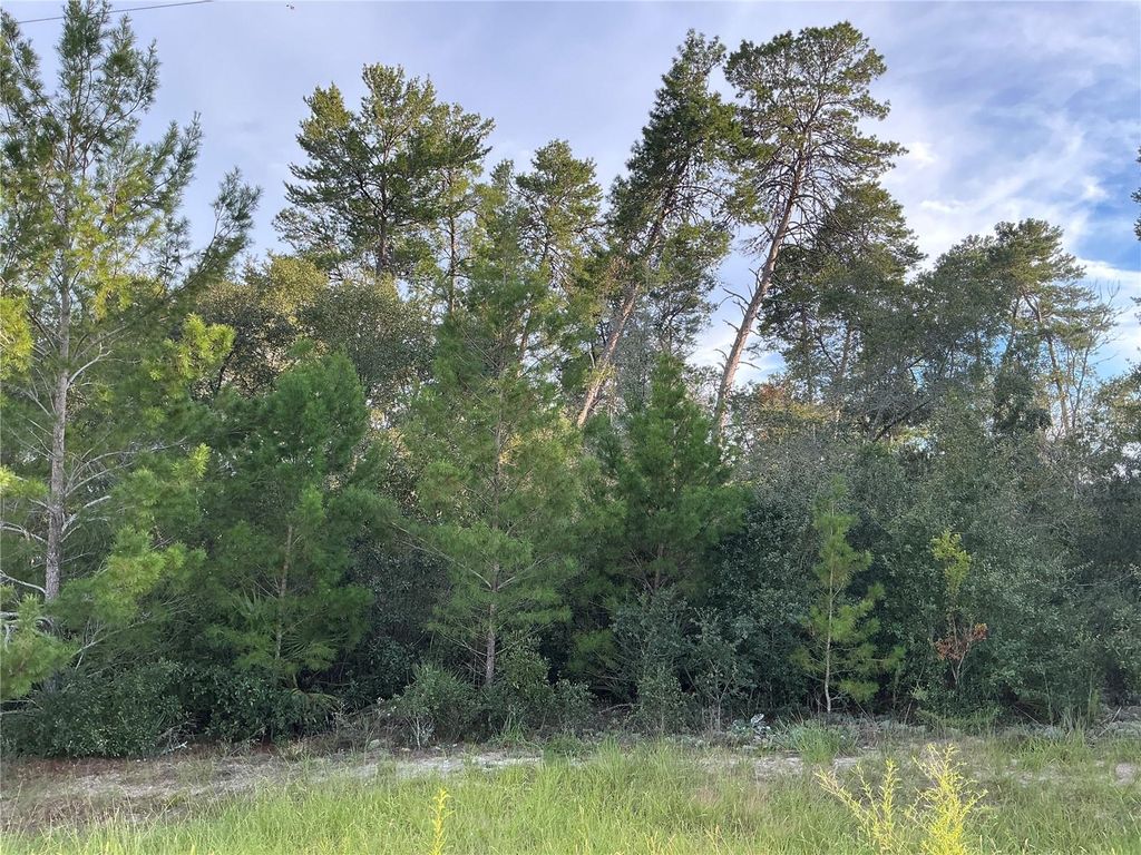 Photo of 0 SW 112th Street, Ocala, FL 34476 (MLS # OM712614)