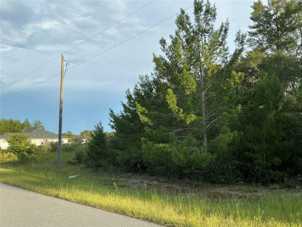 Photo of 0 SW 112th Street, Ocala, FL 34476 (MLS # OM712614)