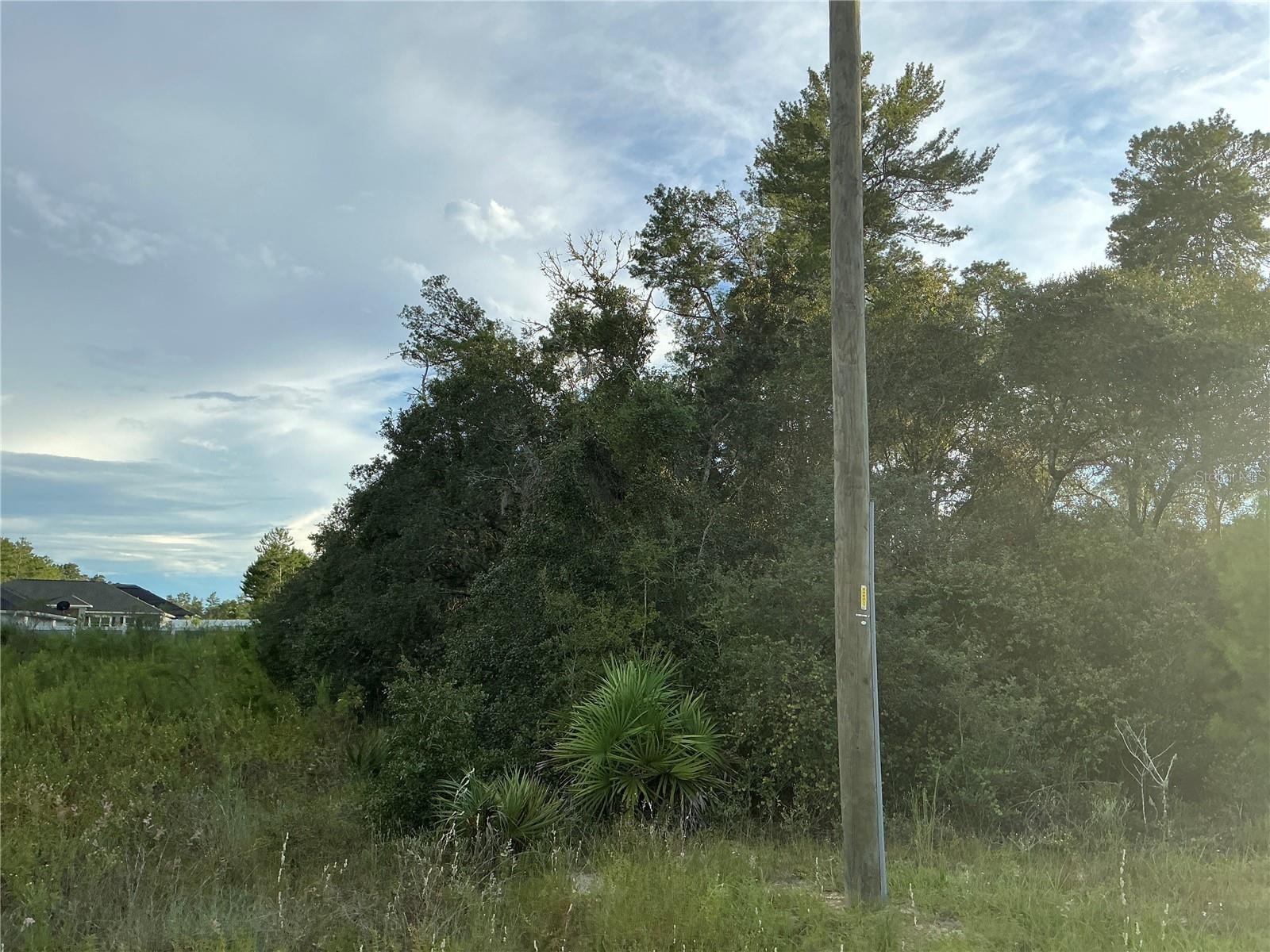 OCALA WATERWAY ESTATE - Land