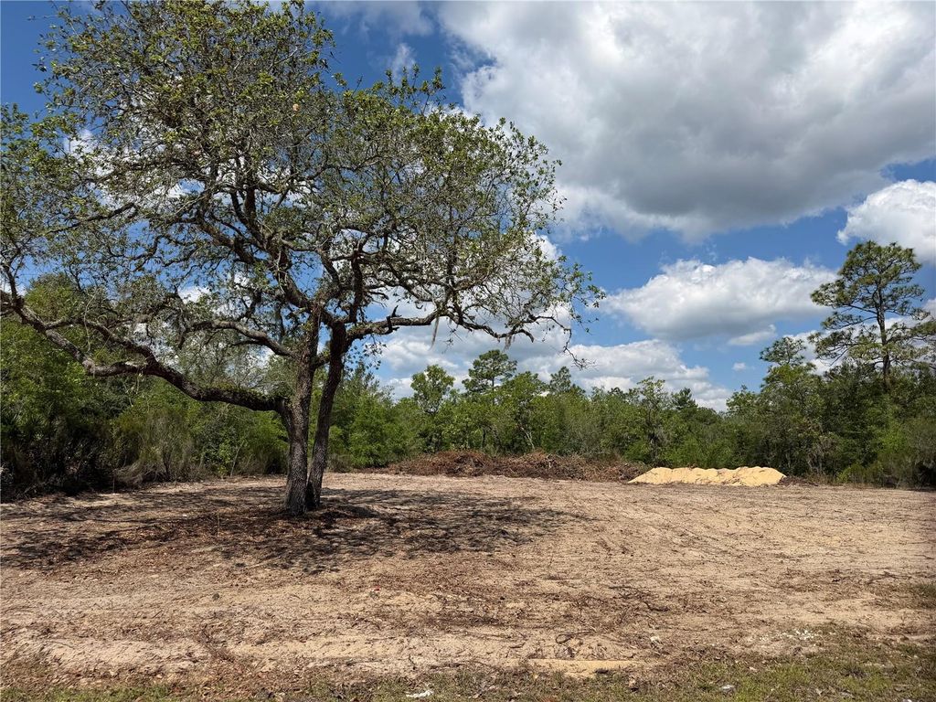 Photo of Tbd NE 105th Avenue, Bronson, FL 32621 (MLS # GC540386)