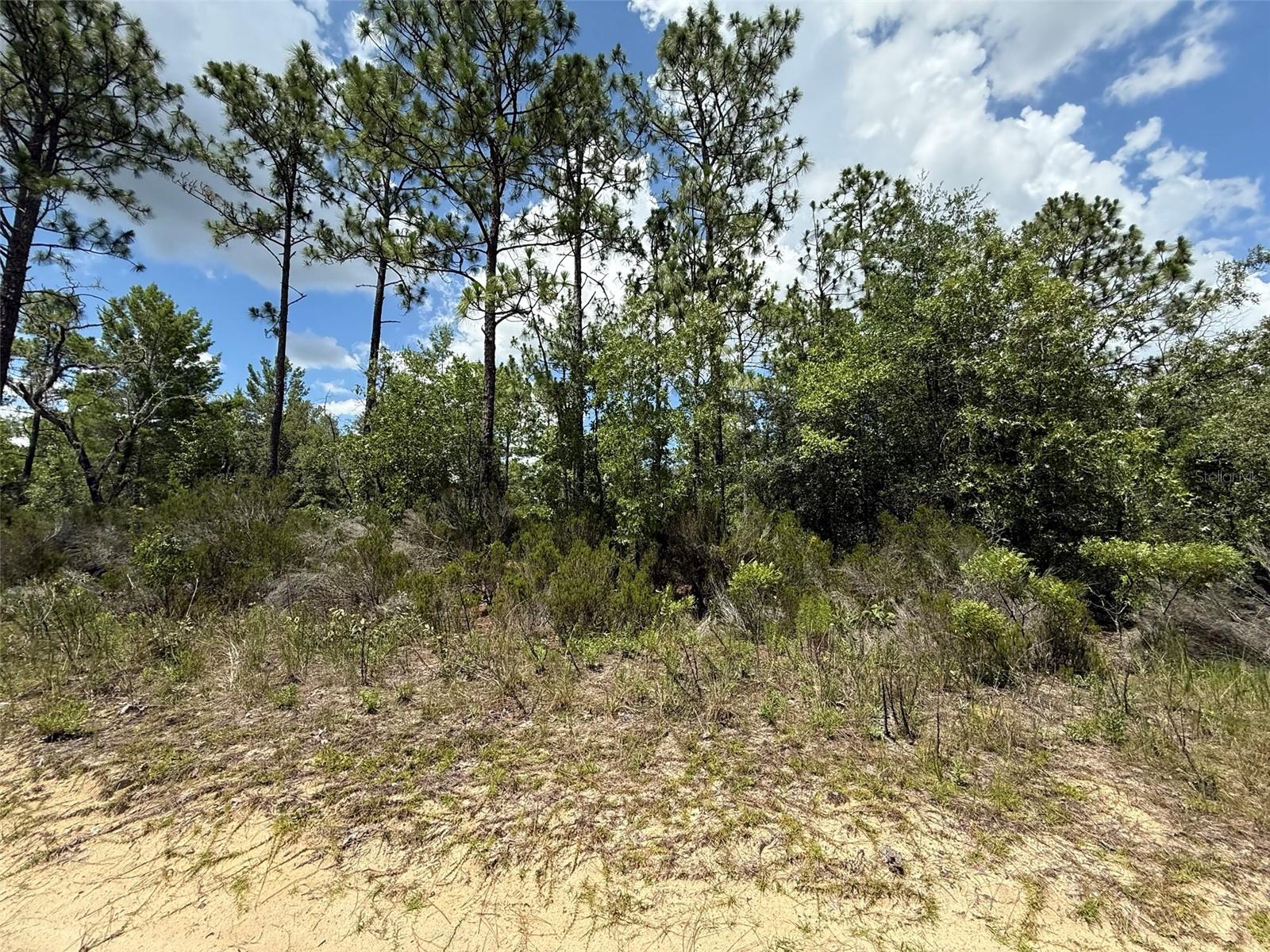 Build or bring Your Dream Home or Invest in the Future! Discover the charm and potential of this .27-acre corner lot located at 187 Paris St, Interlachen, FL. Nestled in a quiet, natural setting, this property offers a peaceful escape while still being conveniently located near local schools, shopping, and outdoor recreation. Whether you're looking to build a primary residence, vacation getaway, or make a smart land investment, this lot is full of possibility. No HOA, low property taxes, and flexible zoning in a growing area of Putnam County make this a great opportunity. Don't miss your chance to own a piece of Florida at an affordable price!