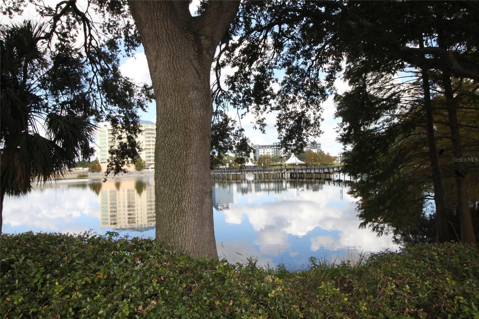 WATERSIDE AT CRANES ROOST A CONDO COMMUNITY - Residential Lease