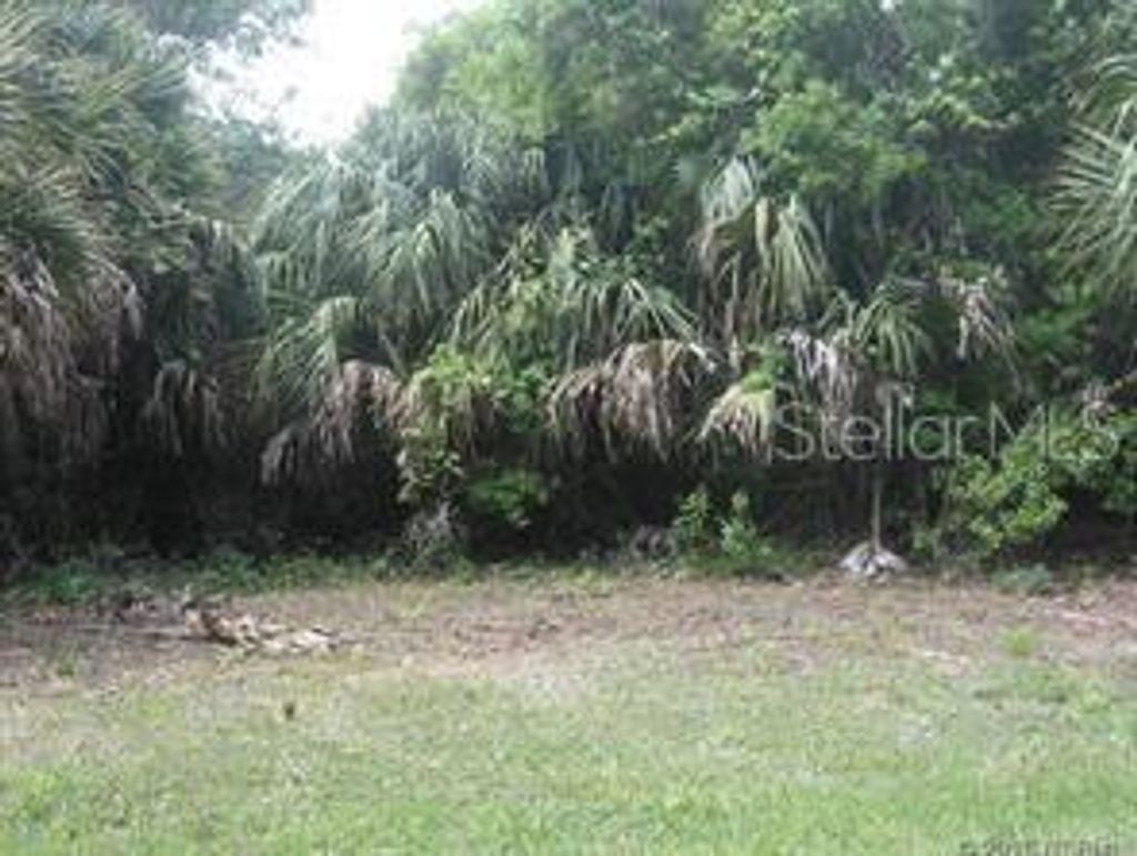 Photo of 566 Sioux Boulevard, Oak Hill, FL 32759 (MLS # O6377074)