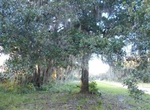 566 SIOUX BOULEVARD OAK HILL FL 32759