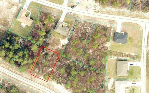 SW 139TH PLACE ROAD OCALA FL 34473