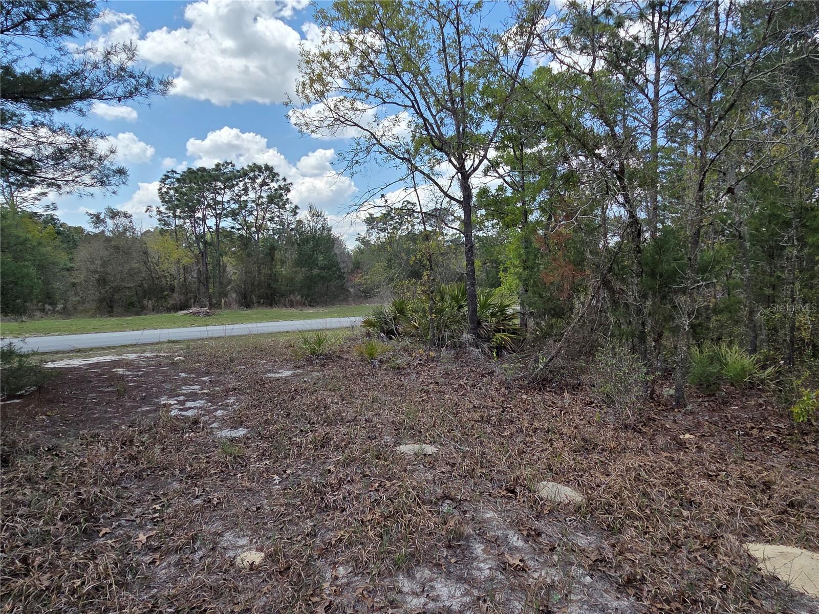 MARION OAKS UNIT 12 - Land