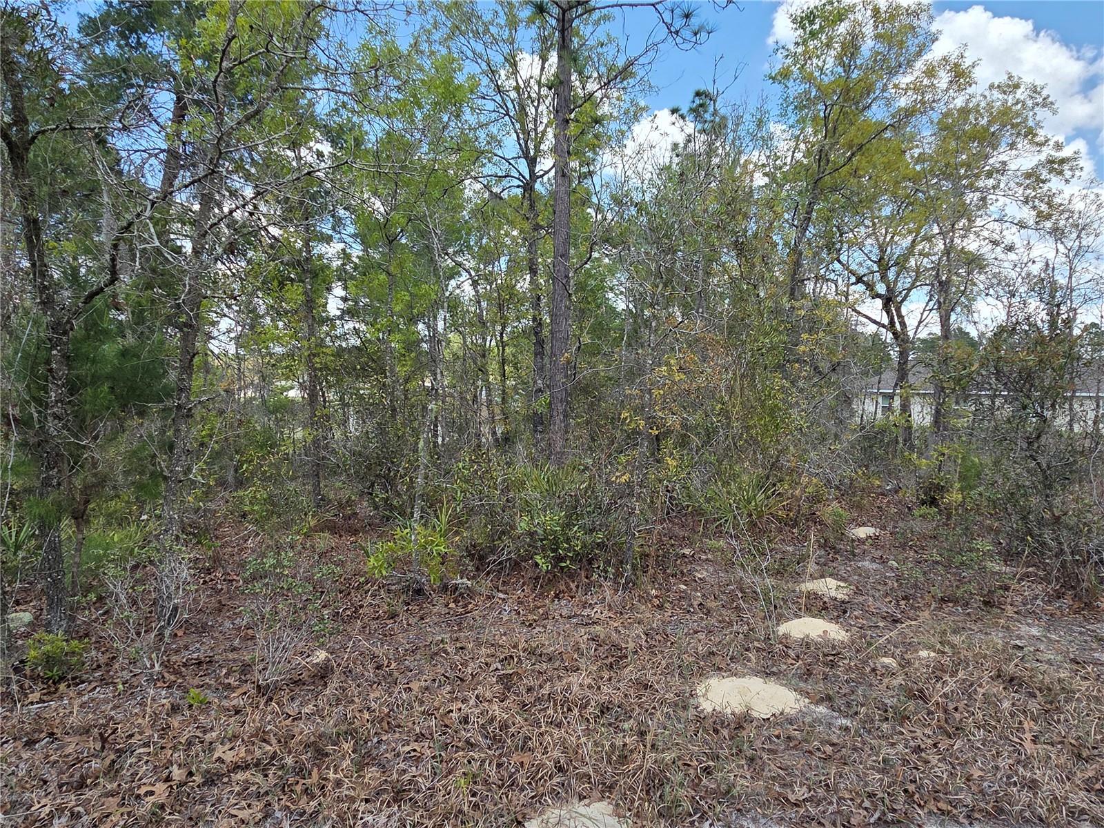 MARION OAKS UNIT 12 - Land