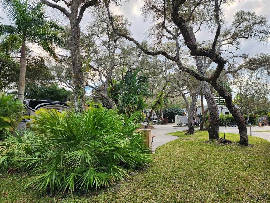 Photo of 240 STALLION LANE, LAKE WALES, FL 33898 (MLS # P4924331)