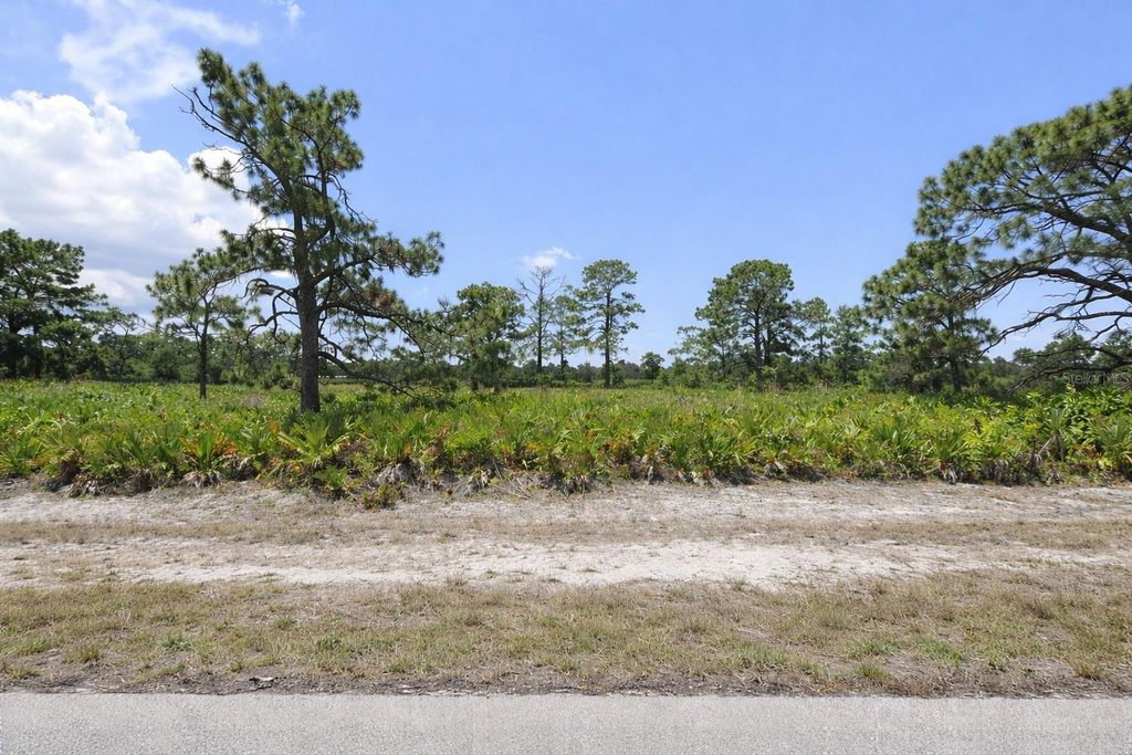 Photo of 11 Betty Court, Placida, FL 33946 (MLS # TB8466137)