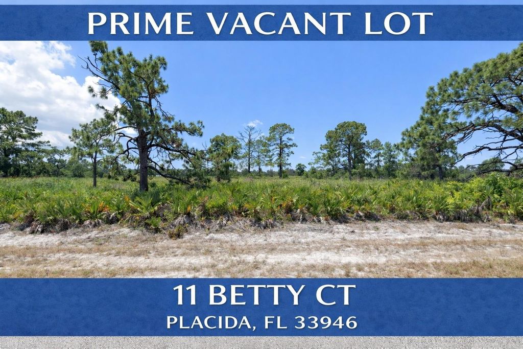 Photo of 11 Betty Court, Placida, FL 33946 (MLS # TB8466137)