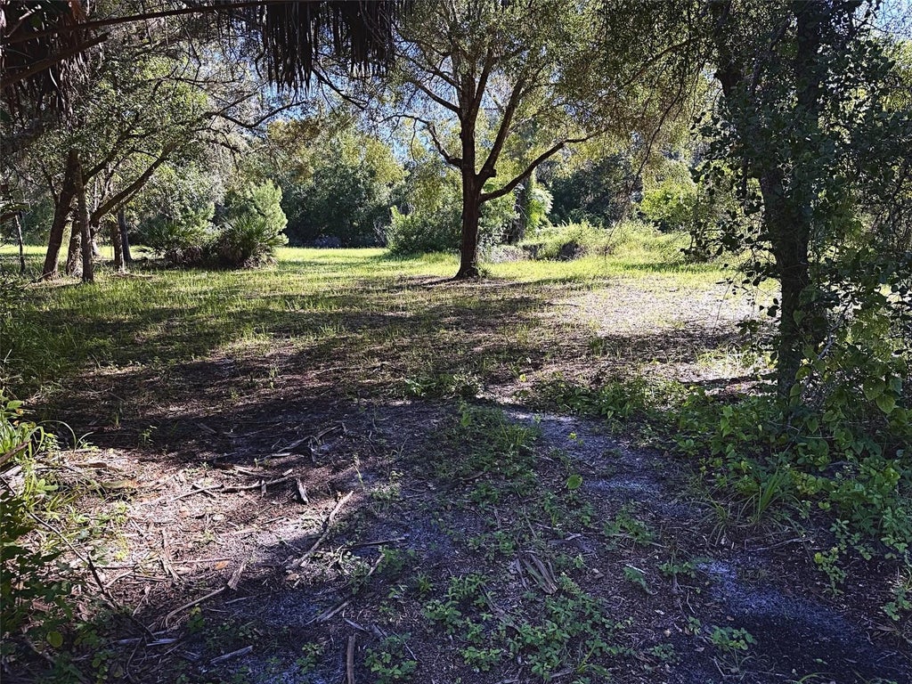 Photo of 9630 Ellis Street, New Port Richey, FL 34654 (MLS # W7889318)