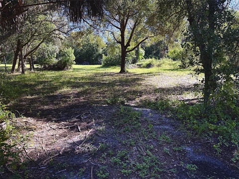 Photo of 9630 Ellis Street, New Port Richey, FL 34654 (MLS # W7889318)