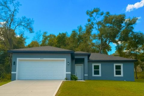 Photo of 8830 N Salina Drive, Citrus Springs, FL 34434 (MLS # O6292952)