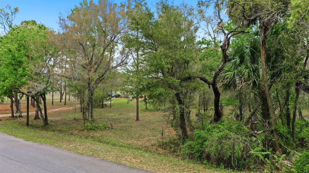 Photo of Quinlan Street, Orlando, FL 32833 (MLS # O6389810)