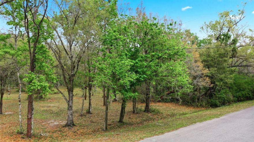 Build your dream home on this 1.09-acre lot in the Wedgefield community of East Orlando, an area known for its large homesites and equestrian-friendly setting. This property offers the opportunity to enjoy a rural lifestyle while remaining connected to the conveniences of Central Florida.  Located within Cape Orlando Estates, the community provides a peaceful environment with convenient access to major roadways including SR-520, SR-528 (Beachline Expressway), SR-408, and Florida’s Turnpike. From here, Orlando International Airport, Downtown Orlando, and the Space Coast beaches are all within easy reach.  Nature and outdoor recreation are close by at Hal Scott Regional Preserve and Park, offering trails for hiking, biking, horseback riding, camping, and wildlife viewing. Residents of Wedgefield also enjoy access to a public golf course, local K-8 school, and the benefit of a voluntary HOA.