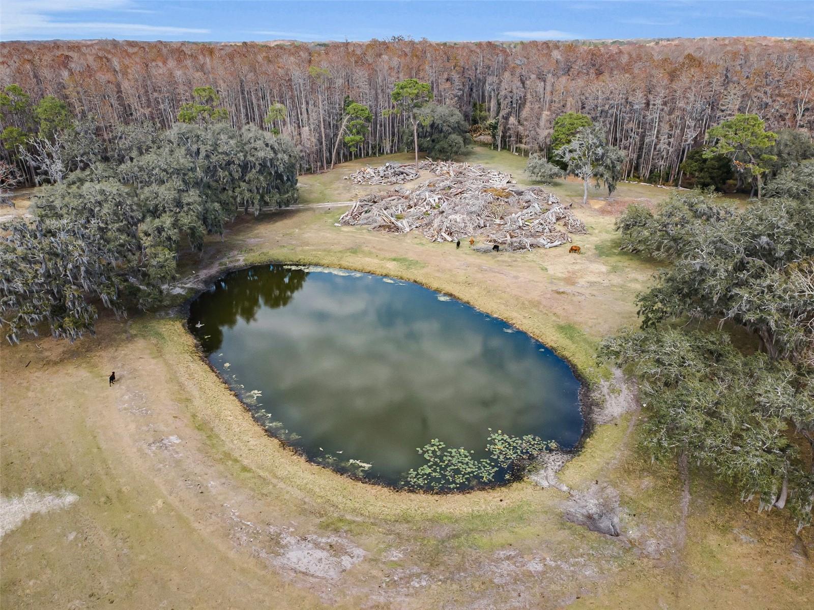 MEETS AND BOUNDS - Residential