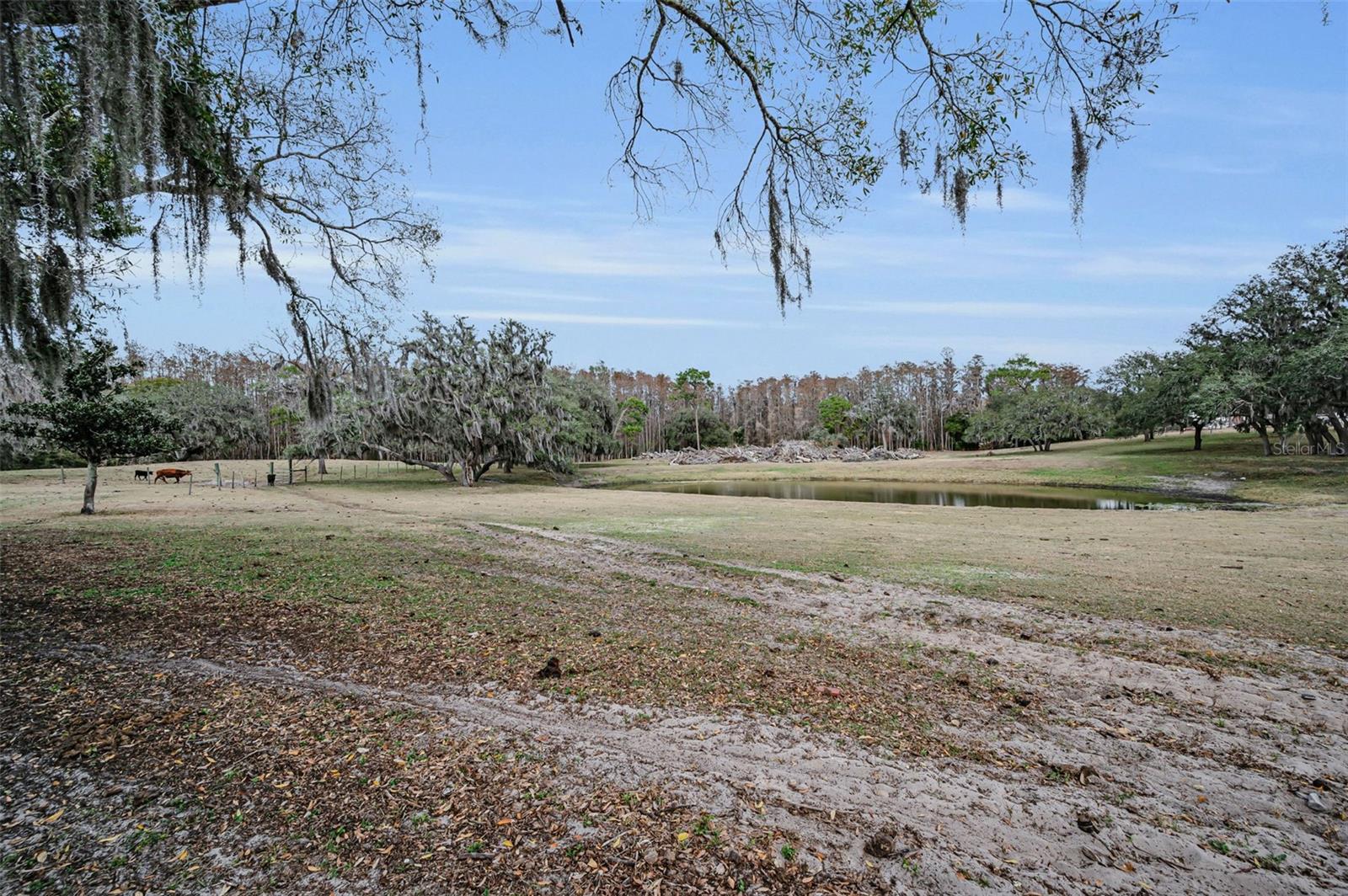 MEETS AND BOUNDS - Residential