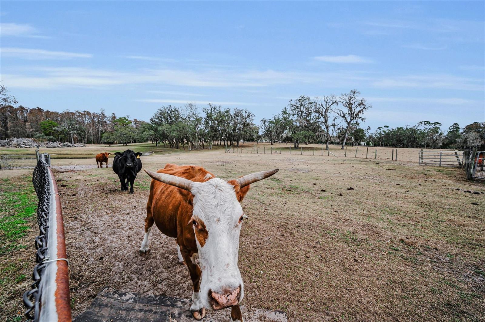 MEETS AND BOUNDS - Residential