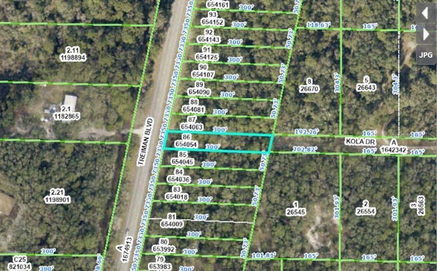 Great opportunity to acquire a 0.35-acre vacant residential lot at 8250 Treiman Blvd, Webster, FL 33597. This well-sized parcel is perfect for building a custom home, placing a manufactured or modular residence, or holding as a long-term investment. Located in a quiet and accessible neighborhood, the property offers convenient access to local amenities, schools, and major roadways.