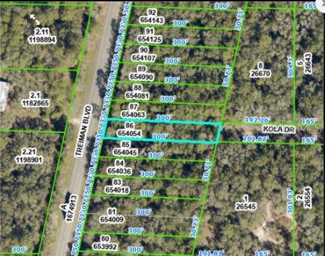 COMMERCIAL HIGHLANDS US 301 - Land