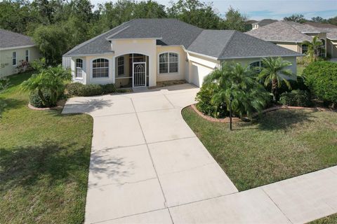 A home in PARRISH