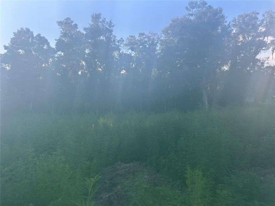 !!!!!!!!!!!!!!!!!Build your Florida dream on a CORNER LOT!!!!!!!! Great opportunity to own a residential homesite in Citrus Springs - a growing community with a peaceful vibe and easy acess to bnearby shopping, dining, and outdoor recreation. Enjoy the convenience of nearby schools, medical services, and plenty of space to recreate your ideal home. NO HOA. Secure your corner lot today!!