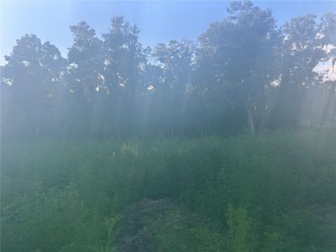 3528 W NIEMAN DRIVE DUNNELLON FL 34433