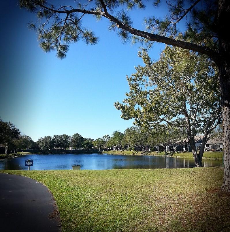 BELLE OAK VILLAS - Residential