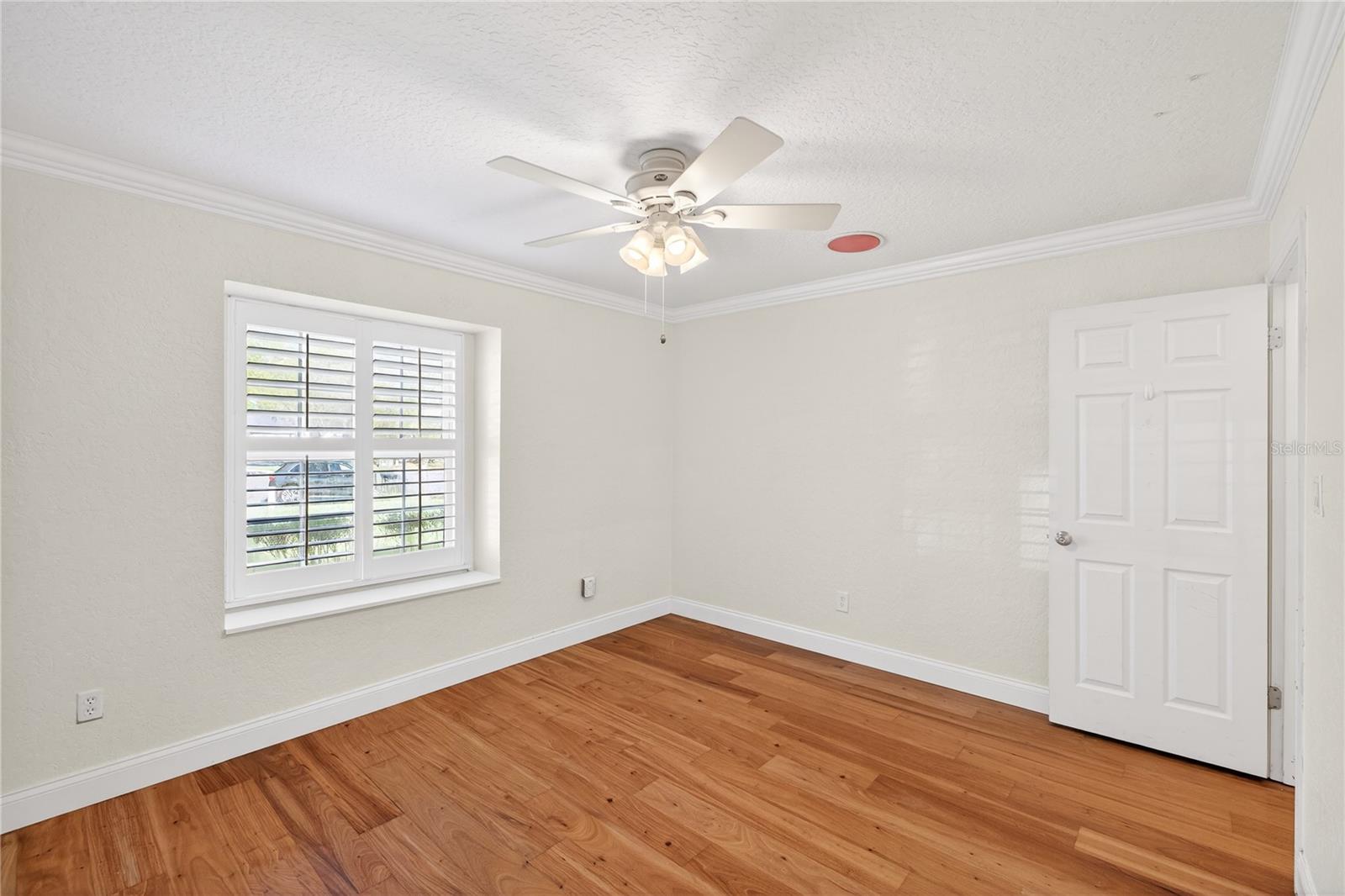 TALL TREES - Residential