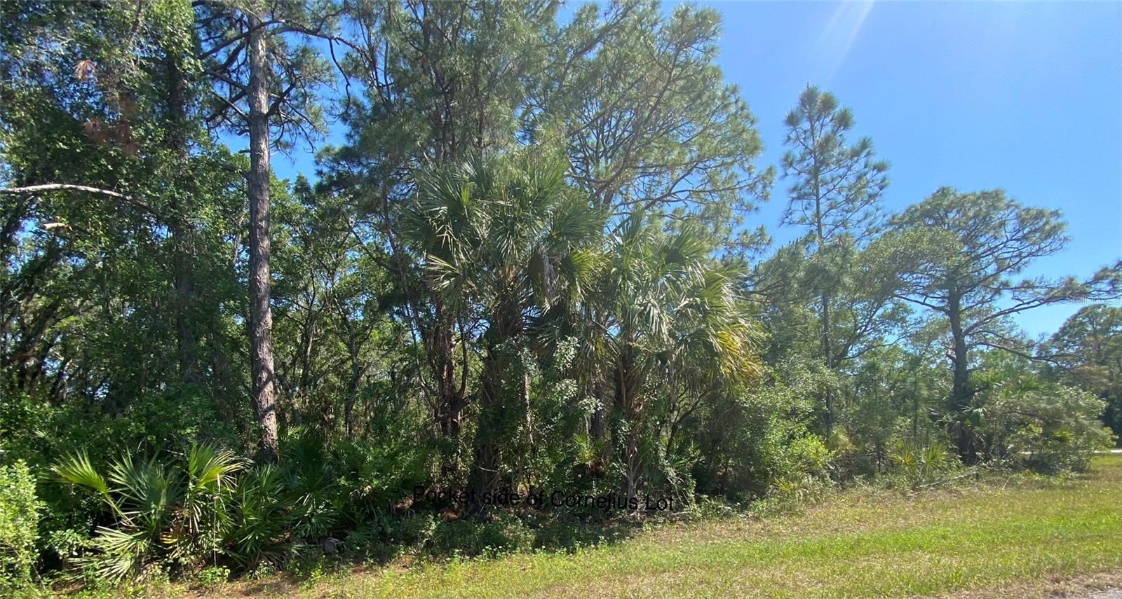 PORT CHARLOTTE SEC 029 - Land