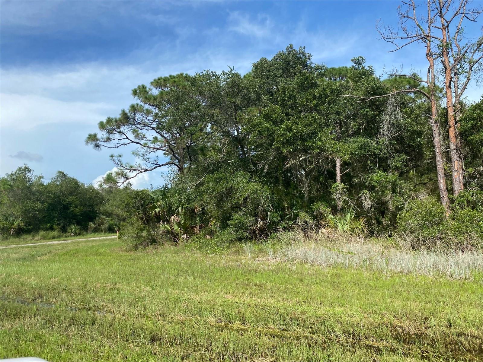 PORT CHARLOTTE SEC 029 - Land