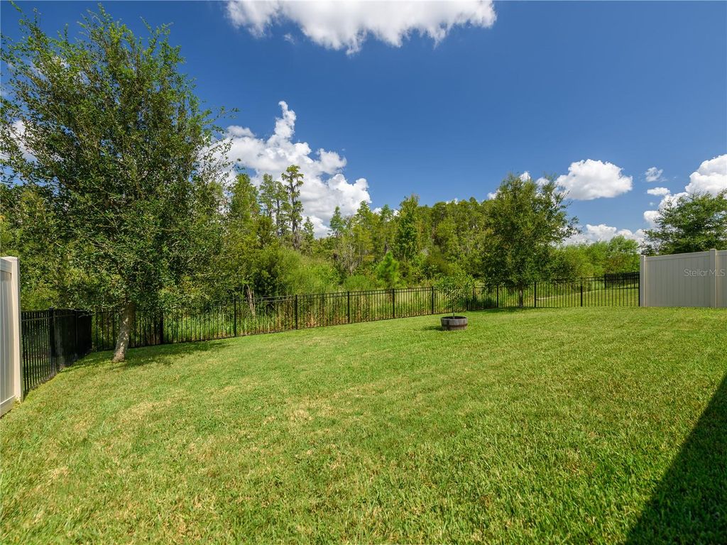 Photo of 2898 Living Coral Drive, Odessa, FL 33556 (MLS # TB8392789)