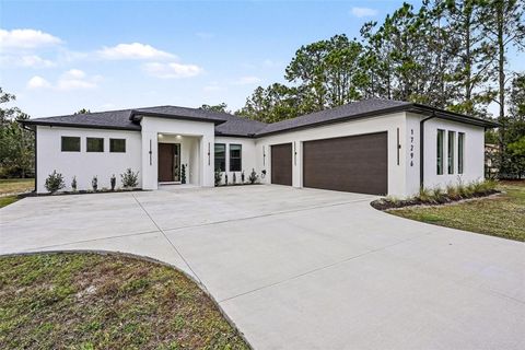 17296 RAINTREE ROAD LUTZ FL 33558