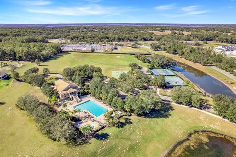 A home in MOUNT DORA