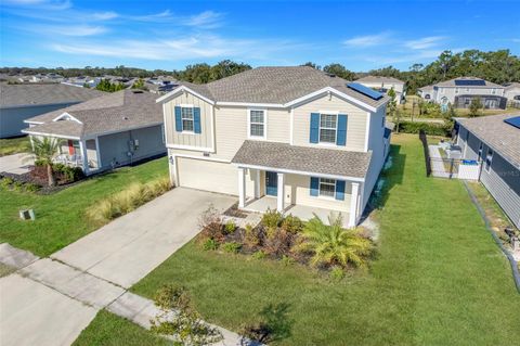 A home in MOUNT DORA