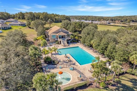 A home in MOUNT DORA