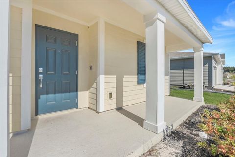 A home in MOUNT DORA