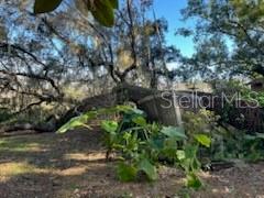 WINDING WATERS - Residential