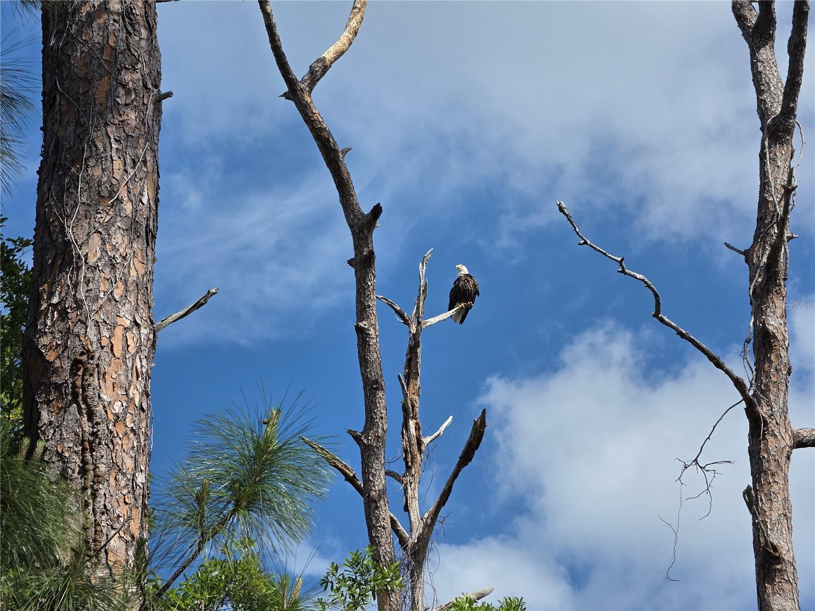 BEACON SQUARE - Residential