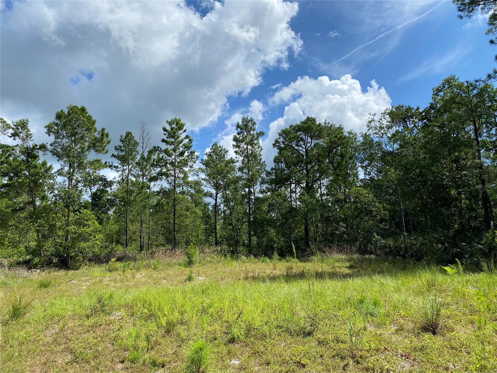 Quail Roost Ranches Unrec 202 - Land
